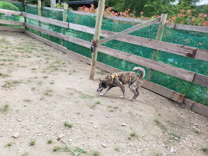 f:id:roukenhome-ann:20190917072158j:plain