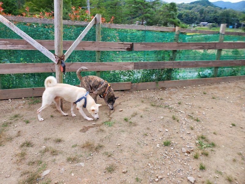 f:id:roukenhome-ann:20190917072324j:plain