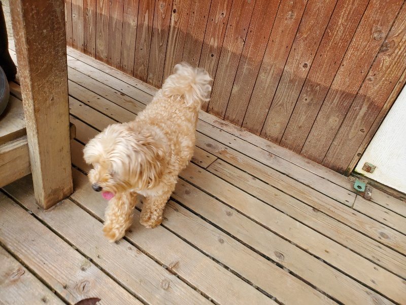 f:id:roukenhome-ann:20190917072352j:plain