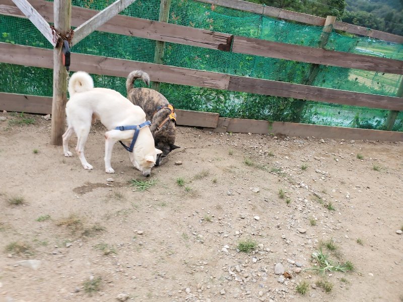 f:id:roukenhome-ann:20190917072405j:plain