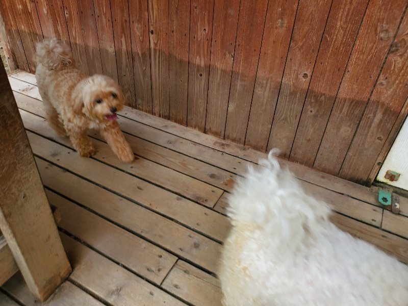 f:id:roukenhome-ann:20190917072423j:plain