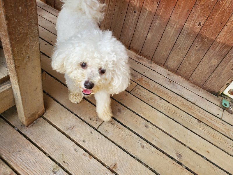 f:id:roukenhome-ann:20190917072436j:plain