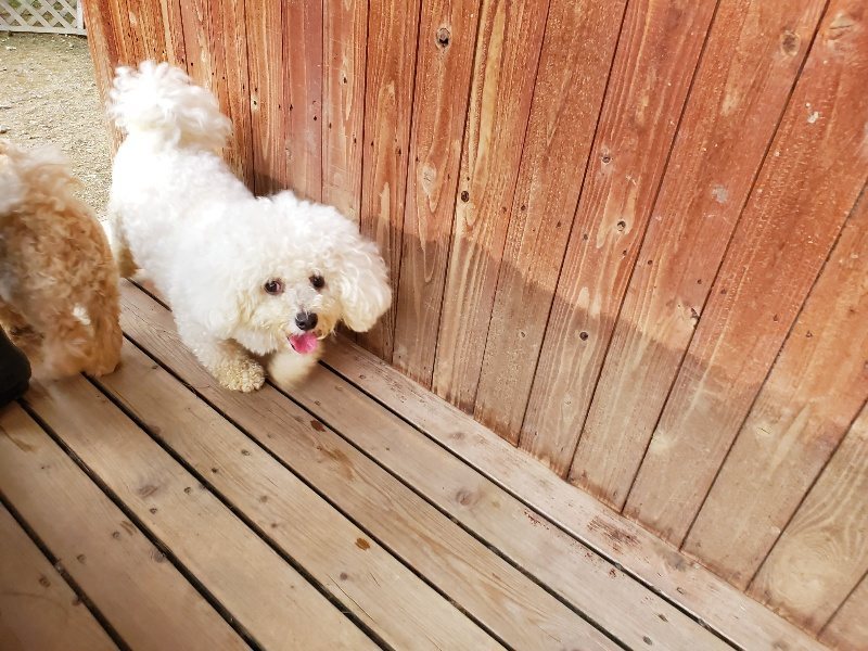 f:id:roukenhome-ann:20190917072451j:plain