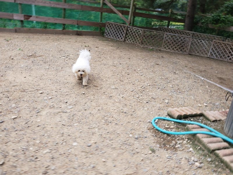 f:id:roukenhome-ann:20190917072549j:plain