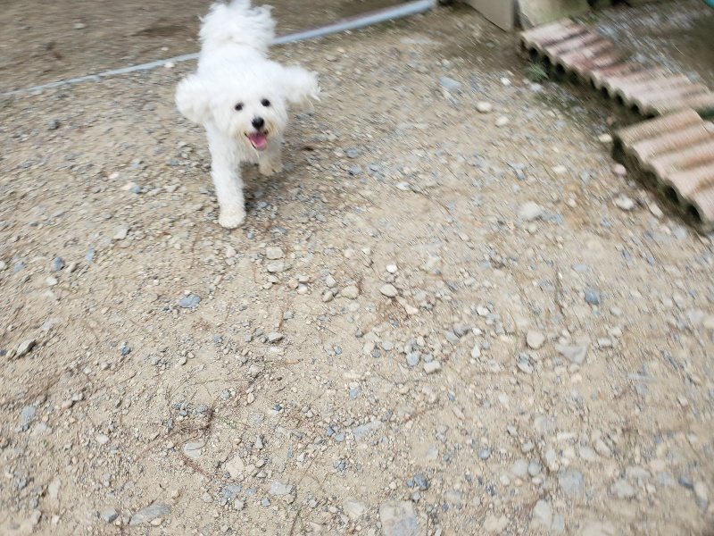 f:id:roukenhome-ann:20190917072555j:plain
