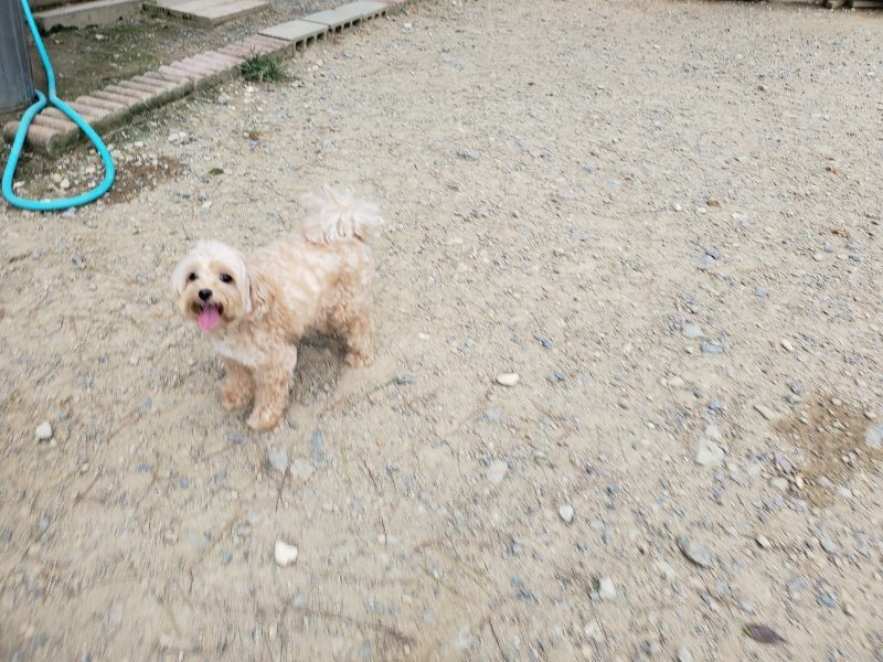 f:id:roukenhome-ann:20190917072605j:plain