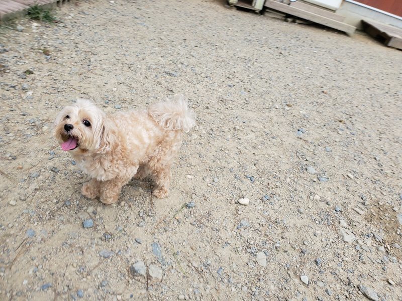f:id:roukenhome-ann:20190917072610j:plain