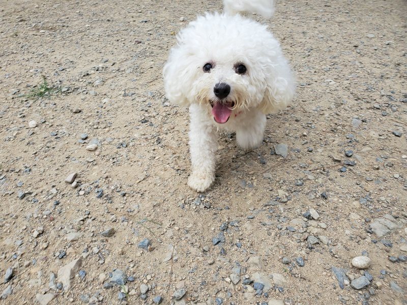 f:id:roukenhome-ann:20190917072639j:plain