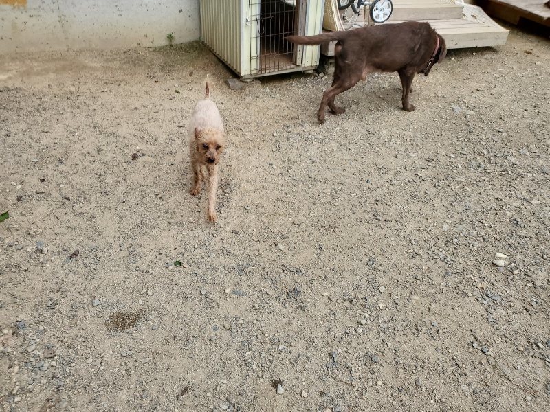 f:id:roukenhome-ann:20190917072647j:plain
