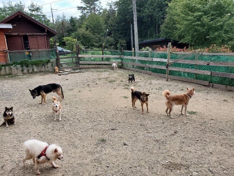 f:id:roukenhome-ann:20190917072654j:plain