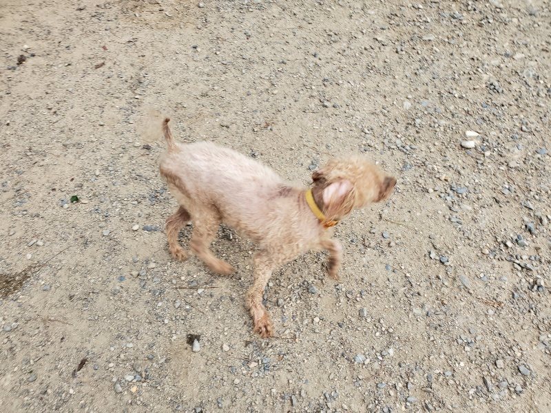 f:id:roukenhome-ann:20190917072701j:plain