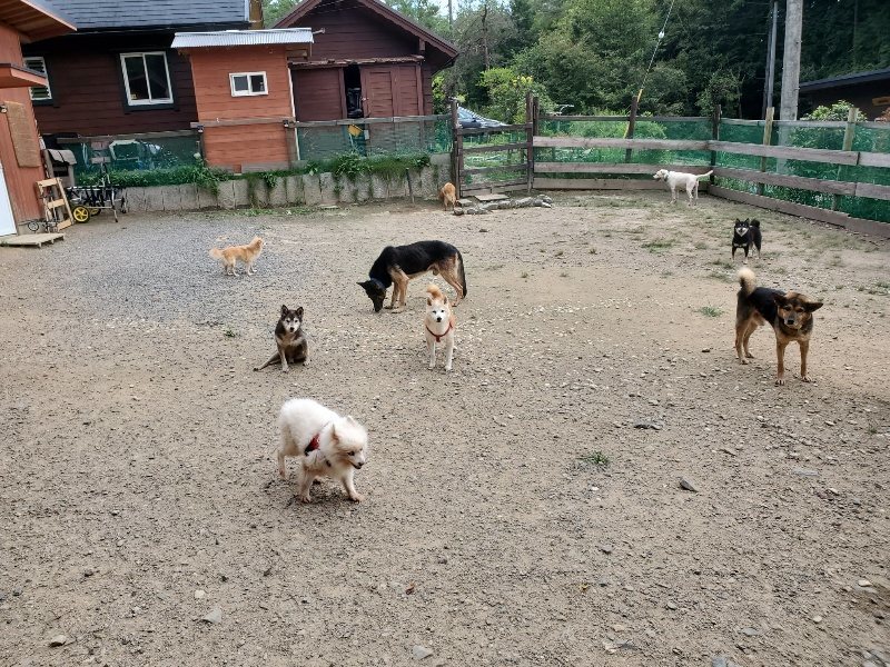 f:id:roukenhome-ann:20190917072707j:plain