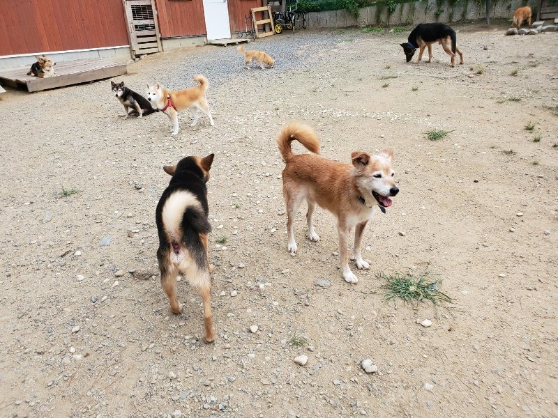 f:id:roukenhome-ann:20190917072720j:plain