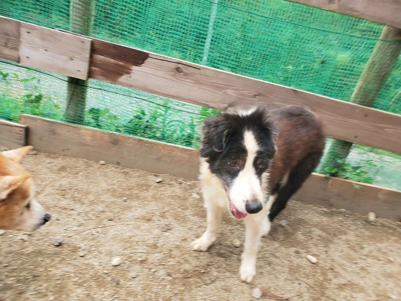 f:id:roukenhome-ann:20190917072725j:plain