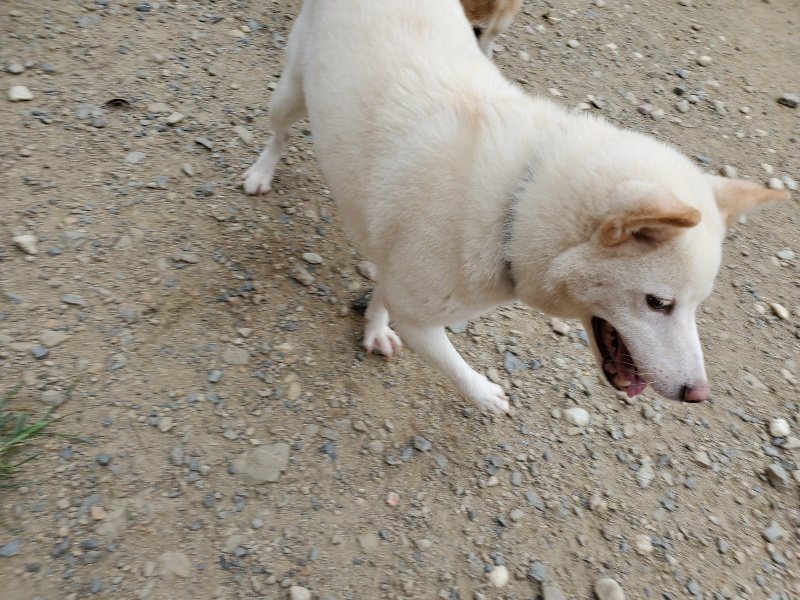 f:id:roukenhome-ann:20190917073153j:plain