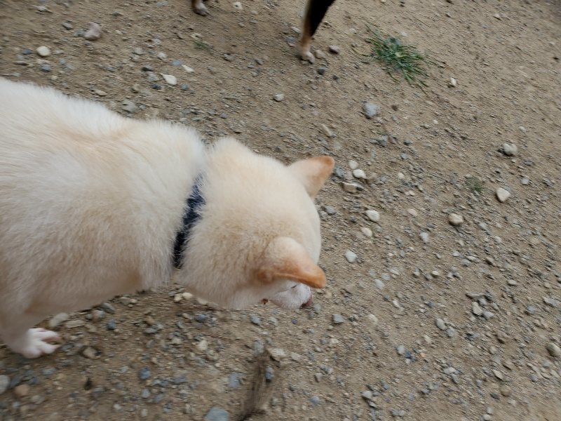 f:id:roukenhome-ann:20190917073158j:plain
