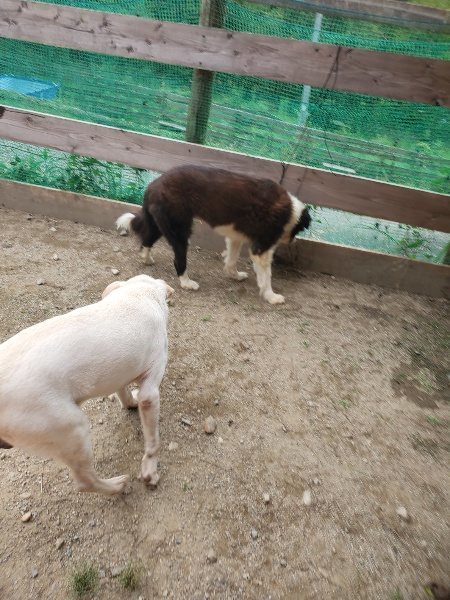 f:id:roukenhome-ann:20190917073208j:plain