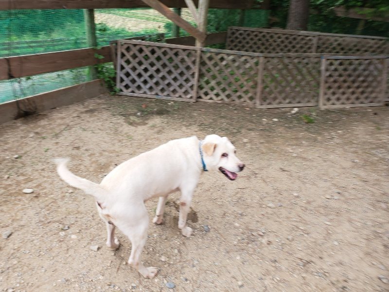 f:id:roukenhome-ann:20190917073213j:plain