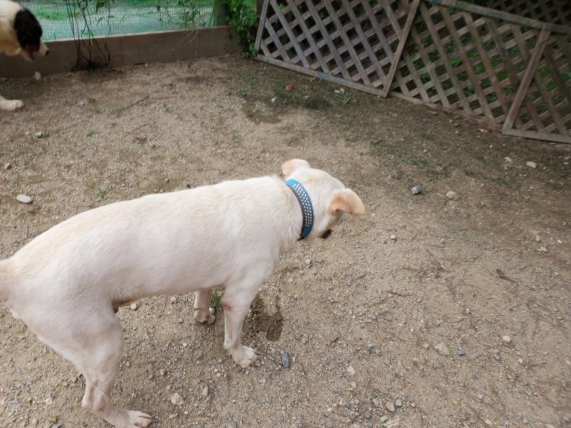 f:id:roukenhome-ann:20190917073219j:plain