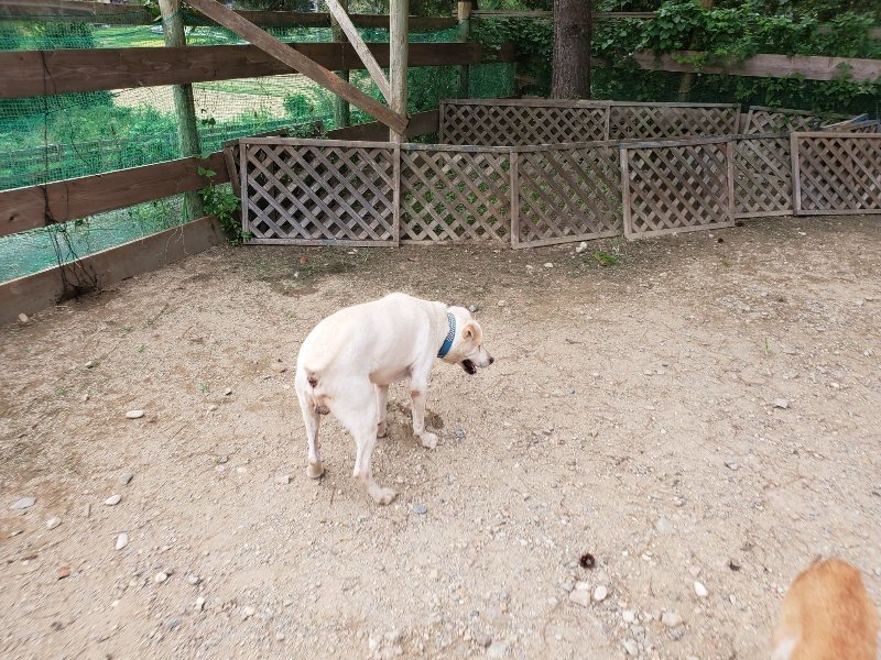 f:id:roukenhome-ann:20190917073225j:plain