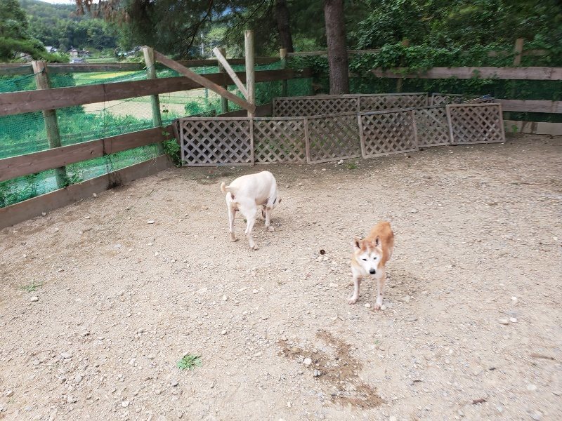 f:id:roukenhome-ann:20190917073230j:plain
