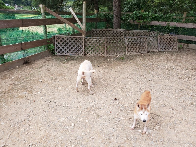 f:id:roukenhome-ann:20190917073239j:plain