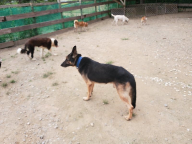 f:id:roukenhome-ann:20190917073253j:plain
