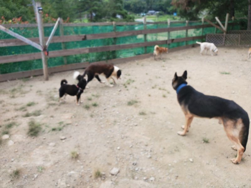f:id:roukenhome-ann:20190917073301j:plain