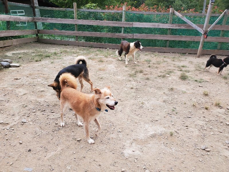 f:id:roukenhome-ann:20190917073319j:plain
