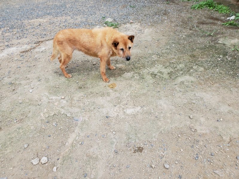 f:id:roukenhome-ann:20190917073325j:plain