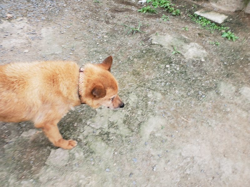 f:id:roukenhome-ann:20190917073331j:plain