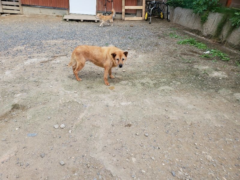 f:id:roukenhome-ann:20190917073341j:plain