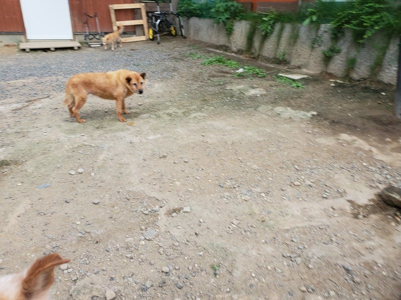 f:id:roukenhome-ann:20190917073346j:plain