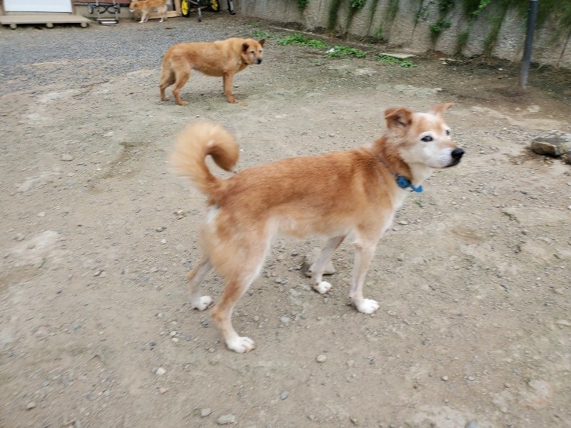 f:id:roukenhome-ann:20190917073351j:plain