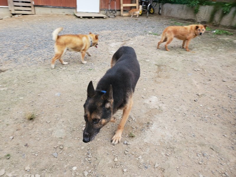 f:id:roukenhome-ann:20190917073402j:plain