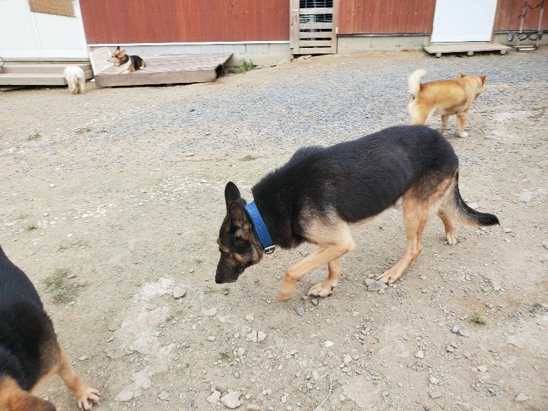 f:id:roukenhome-ann:20190917073408j:plain
