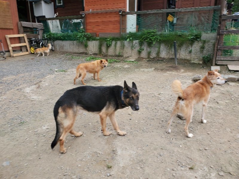f:id:roukenhome-ann:20190917073414j:plain