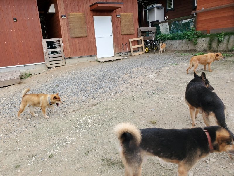 f:id:roukenhome-ann:20190917073426j:plain