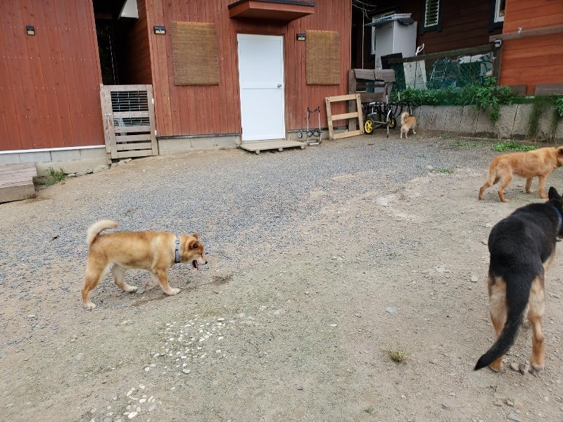 f:id:roukenhome-ann:20190917073432j:plain