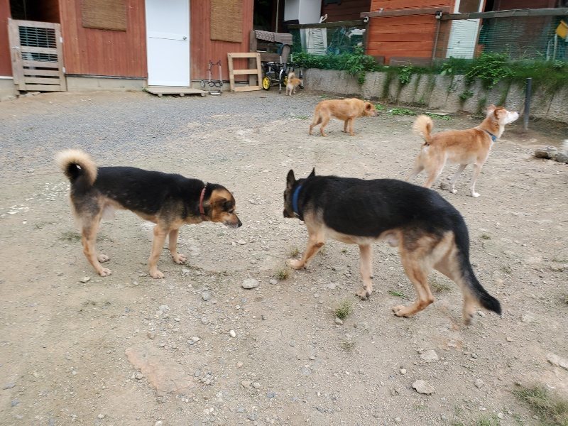 f:id:roukenhome-ann:20190917073436j:plain
