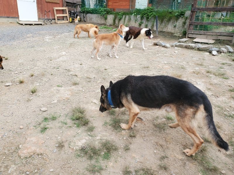 f:id:roukenhome-ann:20190917073443j:plain