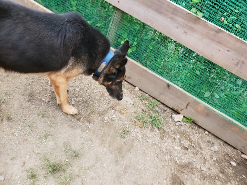 f:id:roukenhome-ann:20190917073449j:plain
