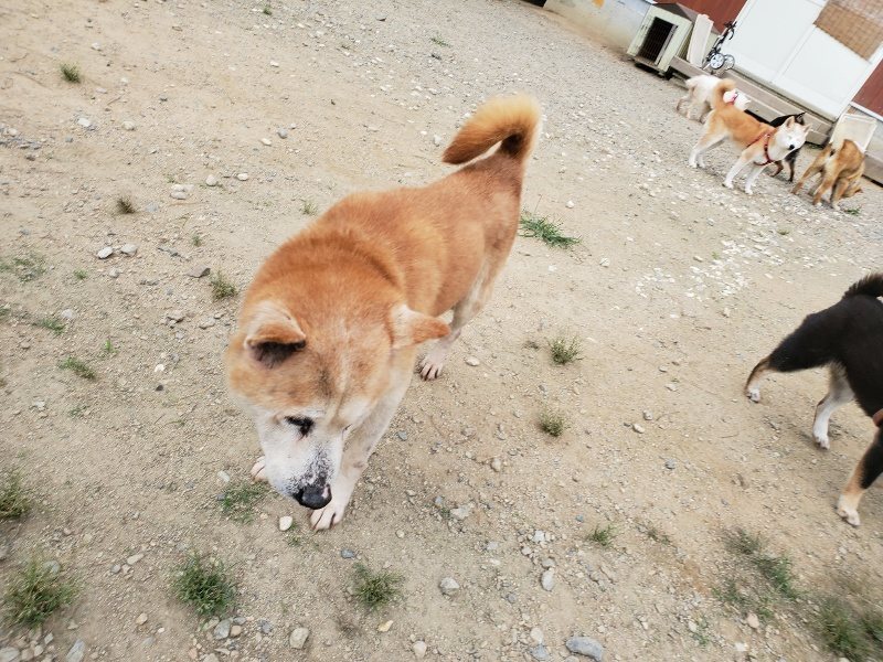 f:id:roukenhome-ann:20190917073458j:plain