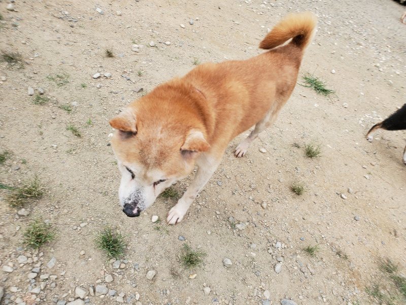f:id:roukenhome-ann:20190917073510j:plain