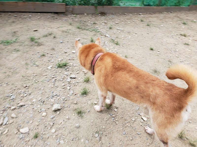 f:id:roukenhome-ann:20190917073516j:plain
