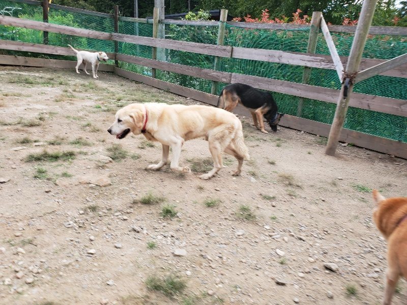 f:id:roukenhome-ann:20190917073521j:plain