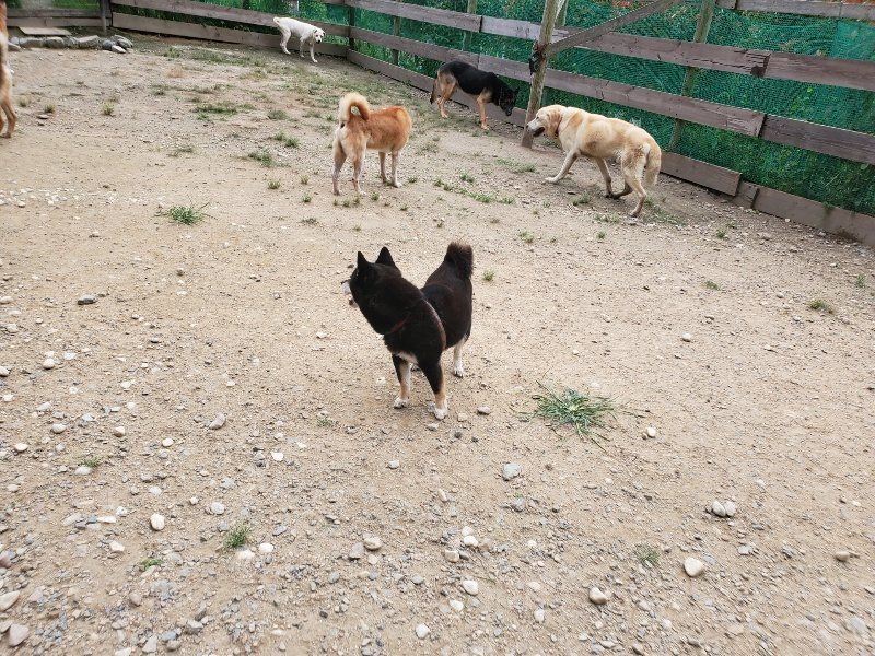 f:id:roukenhome-ann:20190917073546j:plain