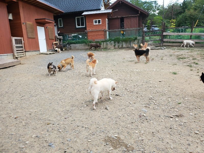 f:id:roukenhome-ann:20190917073601j:plain
