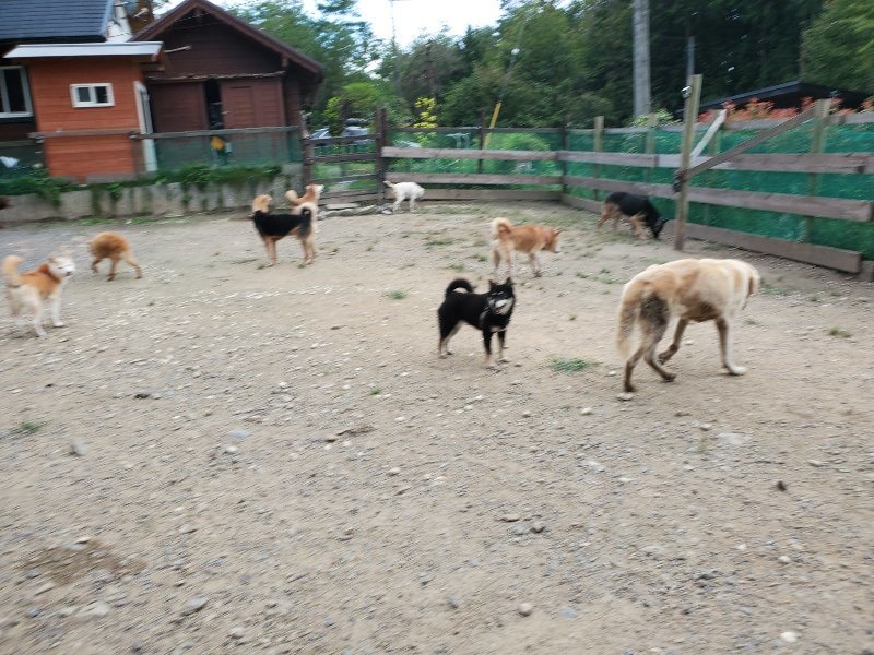 f:id:roukenhome-ann:20190917073639j:plain