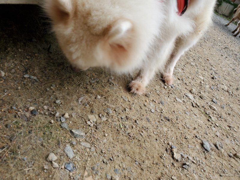 f:id:roukenhome-ann:20190917073816j:plain